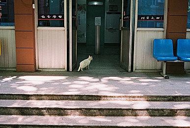 乙女游戏《谎月香格里拉》上线Steam 7月22日发售 